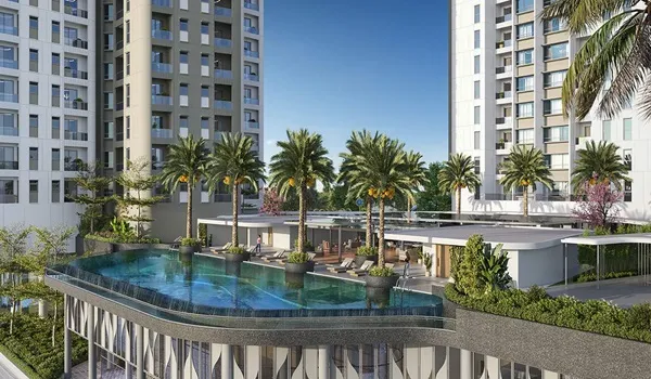 Rooftop infinity swimming pool with palm trees